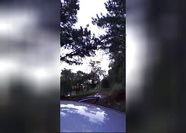 berga_75