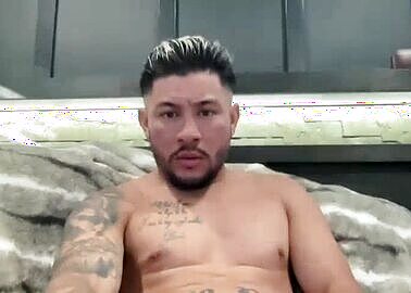 bogdyy