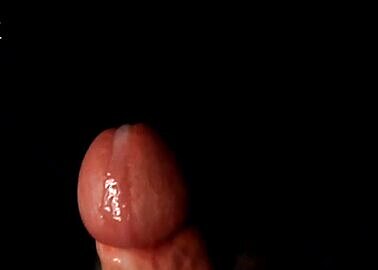 exhib