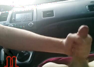 Skaden carplay