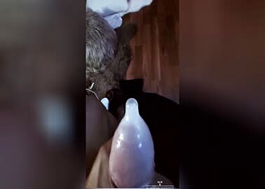 so much in a condom