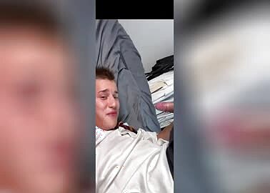 Swallow